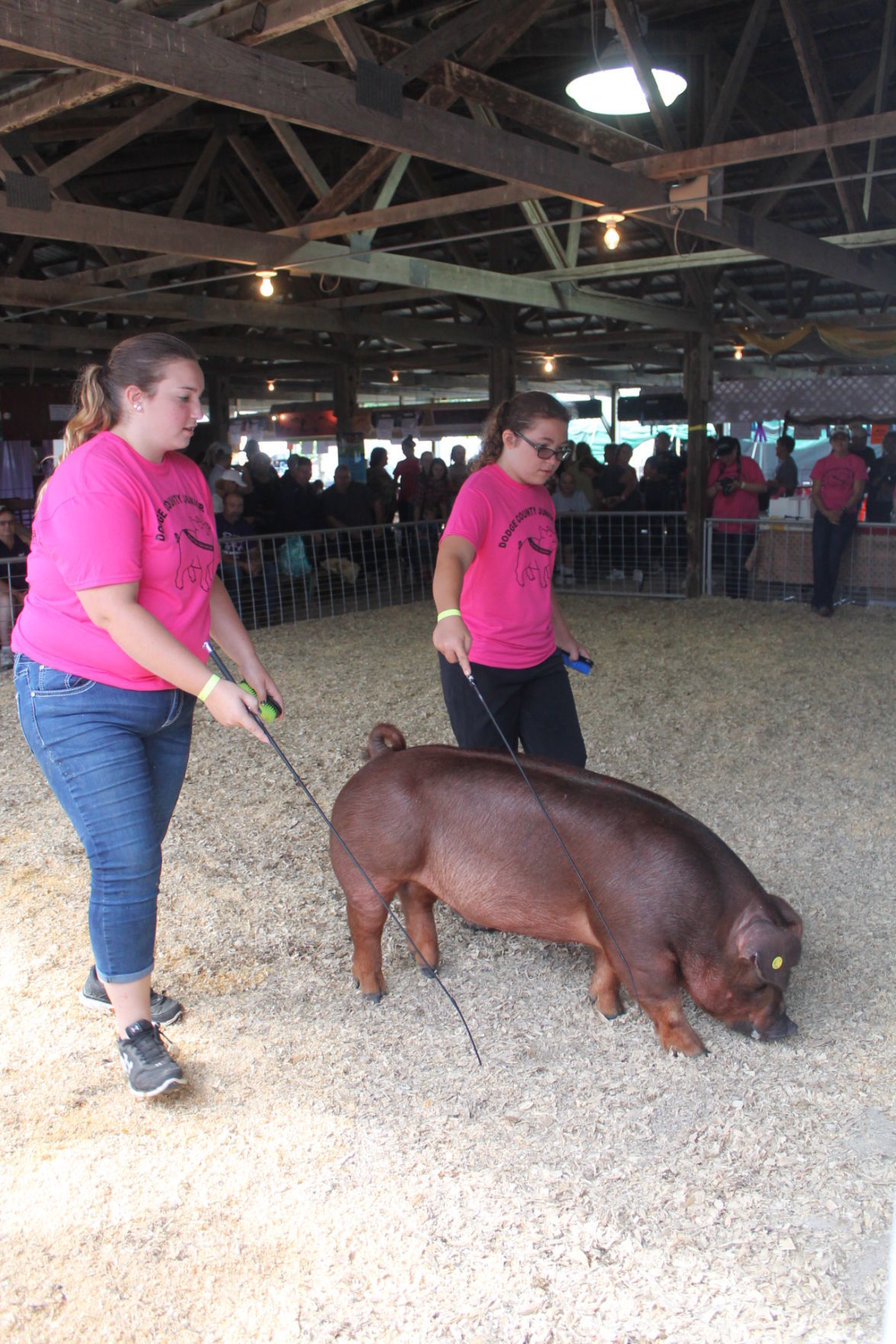 DC Fair Sunday 016.JPG